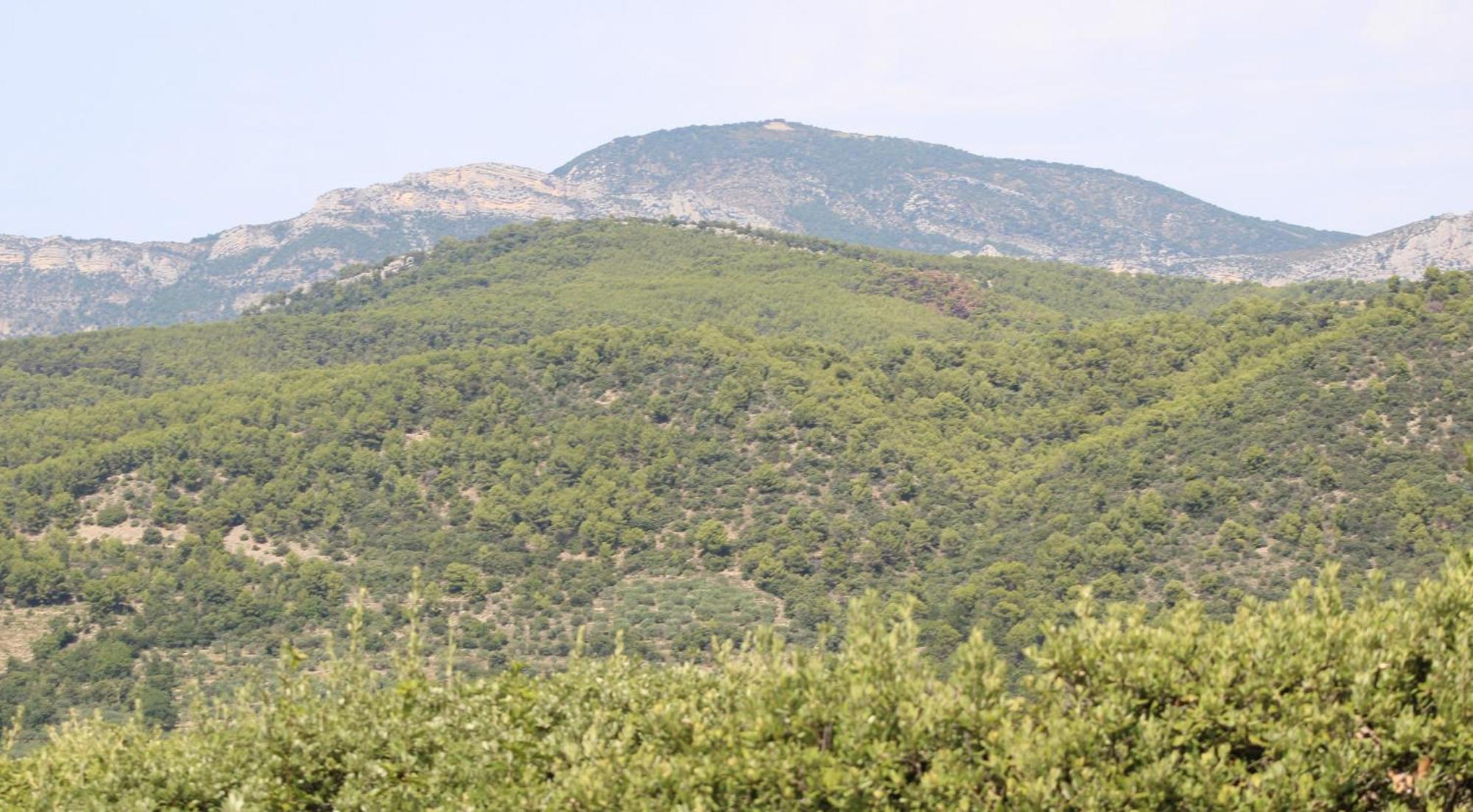 Le Pas Du Ventoux