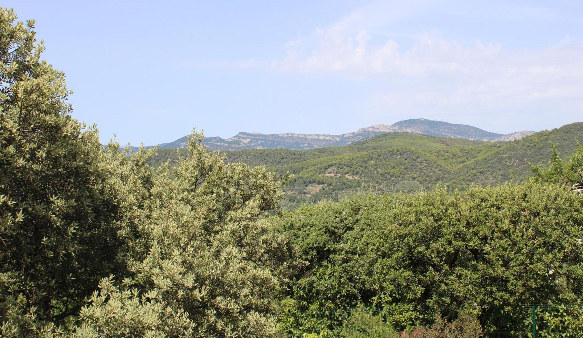Le Pas Du Ventoux